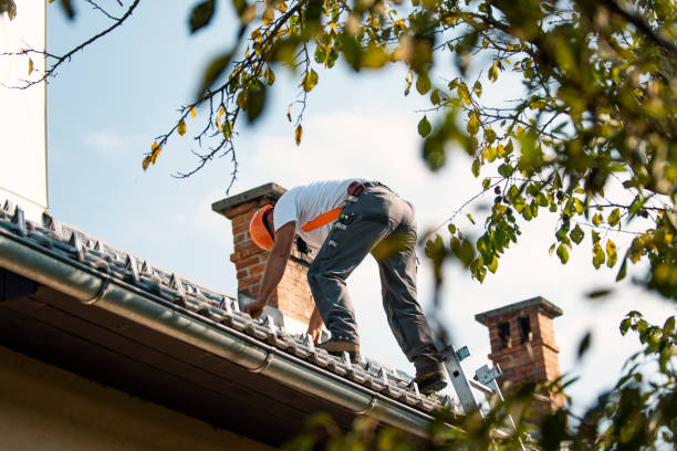 Gutter Installation and Roofing in Ore City, TX