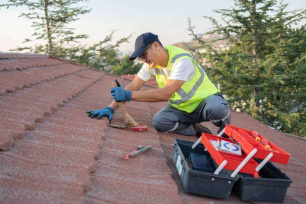 Best Storm Damage Roof Repair  in Ore City, TX