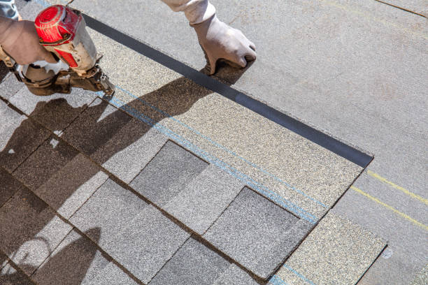 Best Roof Gutter Cleaning  in Ore City, TX